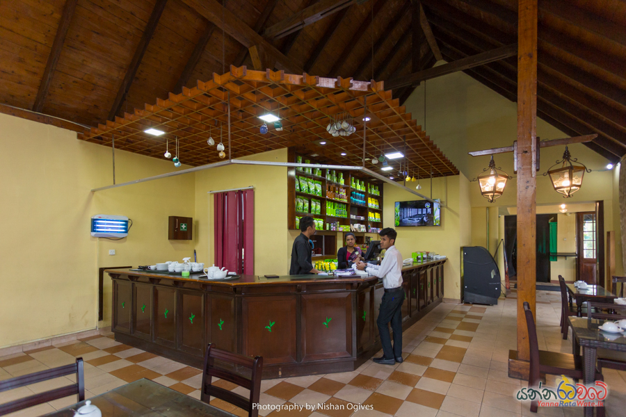 Damro Tea Center Sri Lanka 