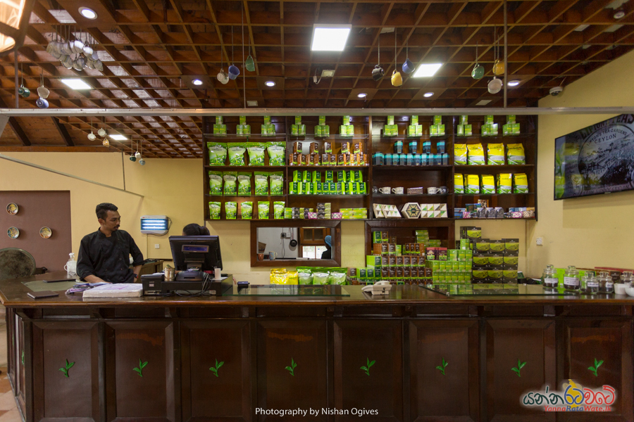 Damro Tea Center Sri Lanka 