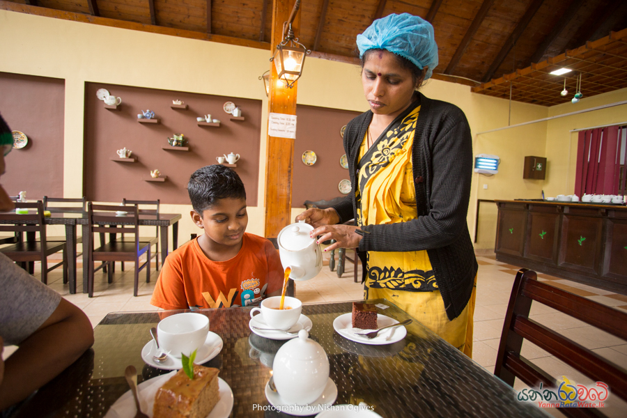 Damro Tea Center Sri Lanka 