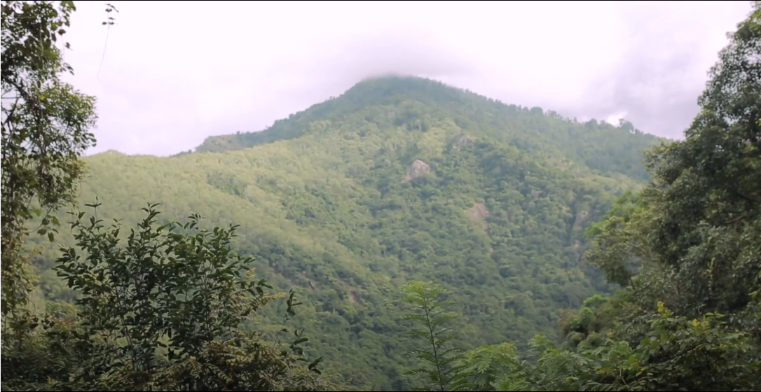 Dunhinda Falls Trekking - Sri Lanka 