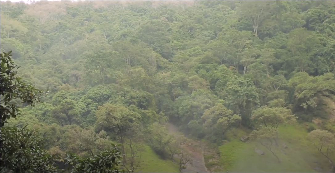 Dunhinda Falls Trekking - Sri Lanka 