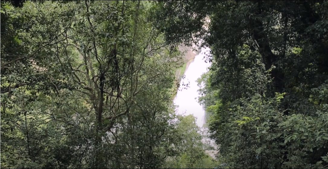 Dunhinda Falls Trekking - Sri Lanka 