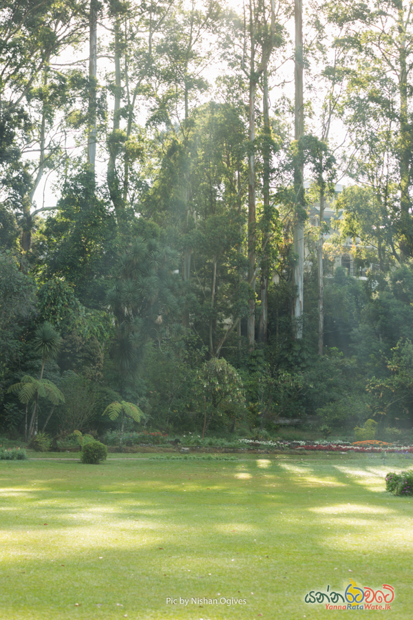 Victoria Park Nuwara Eliya  Sri Lanka 
