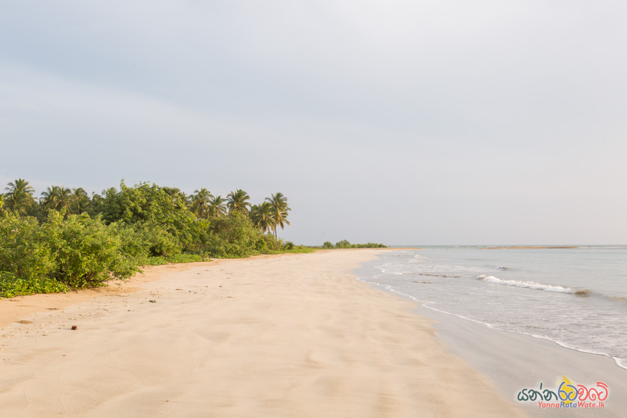 Pasikuda Beach
