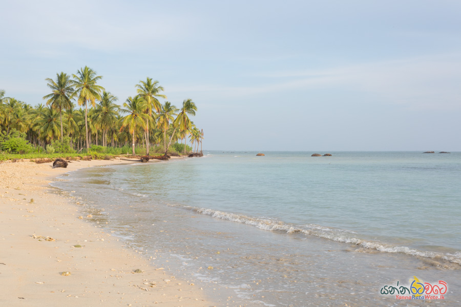 Pasikuda Beach