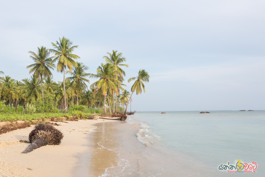 Pasikuda Beach