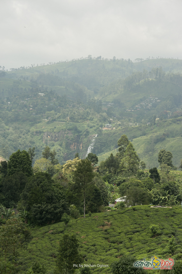 St. Clair Water Falls Nuwara Eliya 