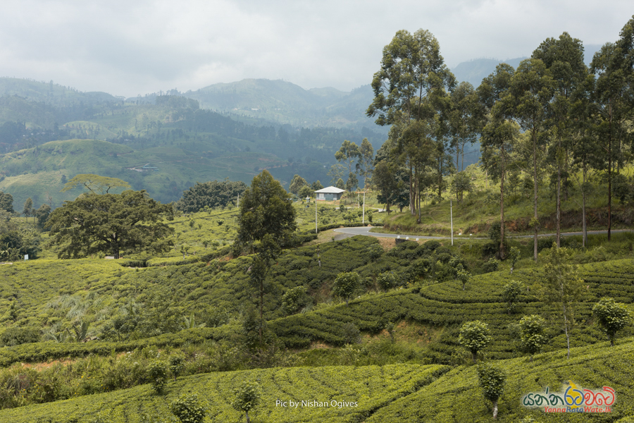 St. Clair Water Falls road in Nuwara Eliya 