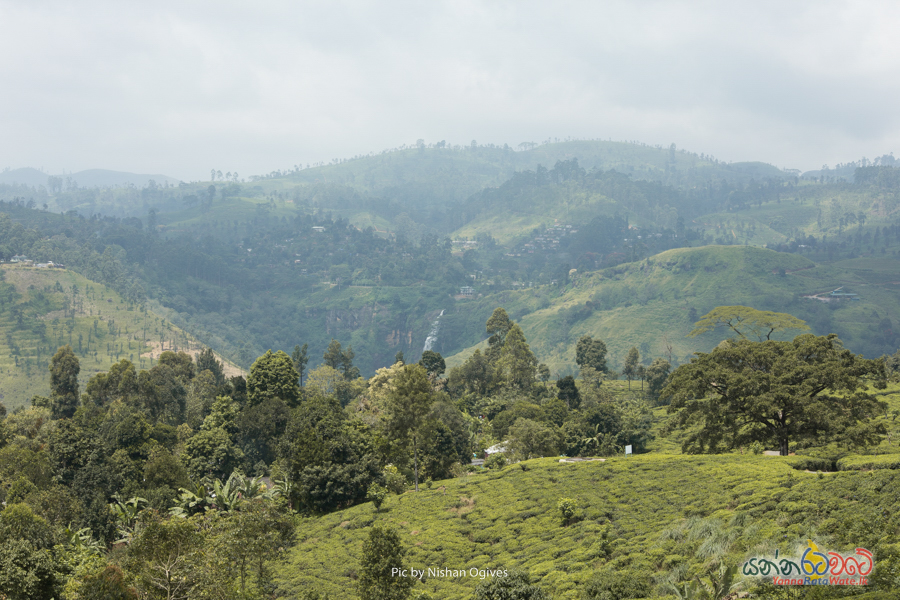 St. Clair Water Falls Nuwara Eliya 